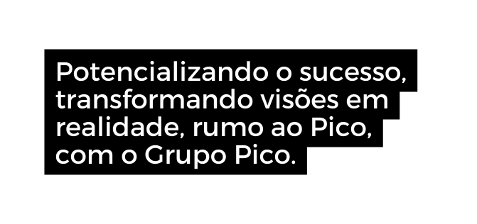 Potencializando o sucesso transformando visões em realidade rumo ao Pico com o Grupo Pico